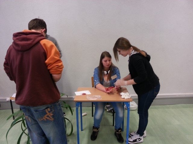 konkurs i pokaz ZSZ PBO